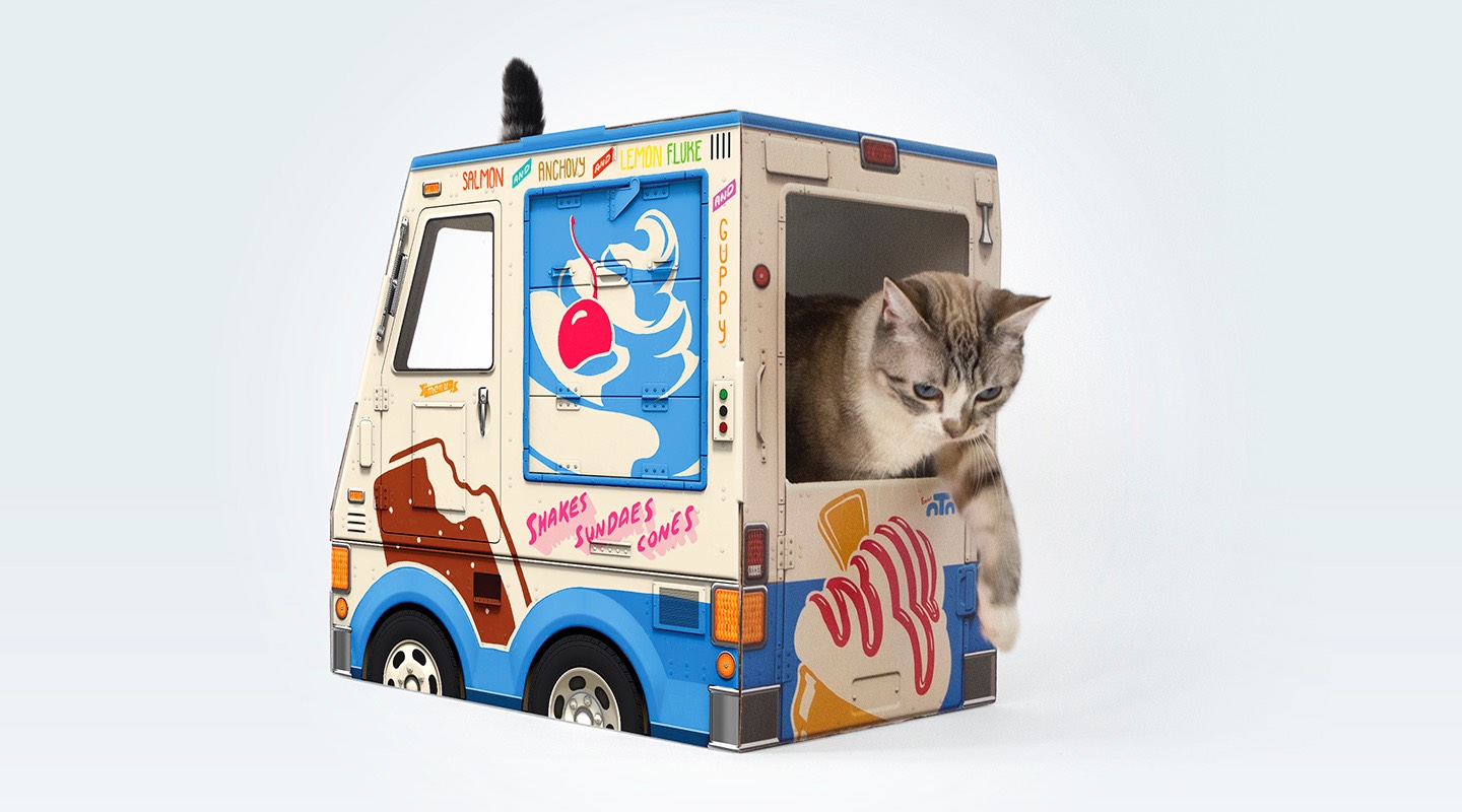 Cat next to Famous OTO Brooklyn building